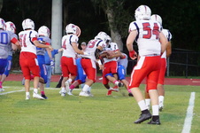 Enlarge photo 97