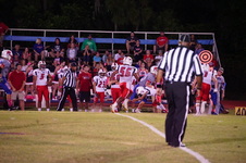 Enlarge photo 240