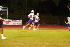 Enlarge photo 131