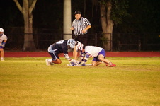 Enlarge photo 135