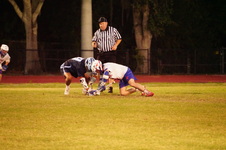 Enlarge photo 137