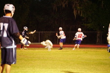 Enlarge photo 231
