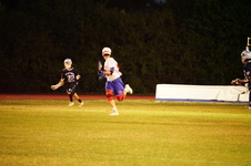 Enlarge photo 237