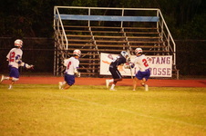 Enlarge photo 264