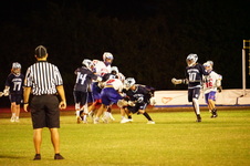 Enlarge photo 347