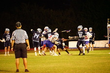 Enlarge photo 349