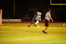 Enlarge photo 375