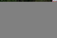 Enlarge photo 590