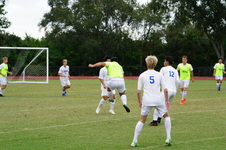 Enlarge photo 85
