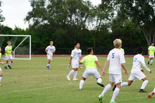 Enlarge photo 87