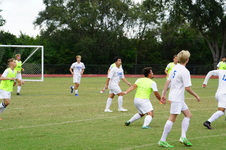 Enlarge photo 88