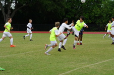 Enlarge photo 89