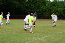Enlarge photo 90