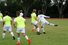 Enlarge photo 113