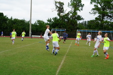 Enlarge photo 127