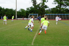 Enlarge photo 131