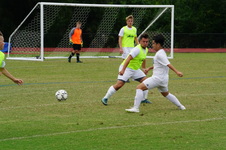Enlarge photo 145