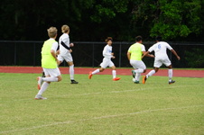 Enlarge photo 159