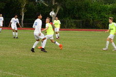 Enlarge photo 231