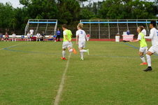 Enlarge photo 233