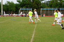 Enlarge photo 234