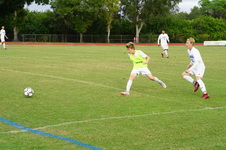 Enlarge photo 239