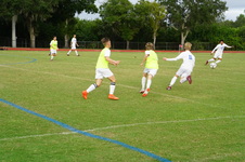 Enlarge photo 243