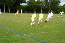 Enlarge photo 244