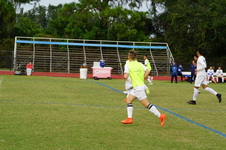 Enlarge photo 246