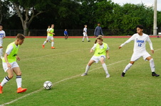 Enlarge photo 253