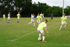Enlarge photo 258