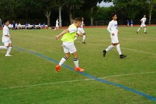 Enlarge photo 265