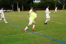Enlarge photo 266