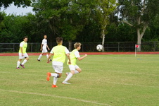 Enlarge photo 268