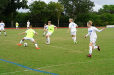 Enlarge photo 282