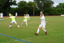 Enlarge photo 283