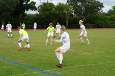 Enlarge photo 284