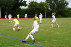 Enlarge photo 285