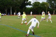 Enlarge photo 287
