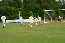 Enlarge photo 306