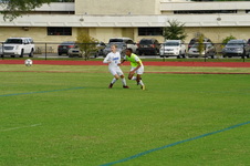 Enlarge photo 389