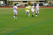 Enlarge photo 396