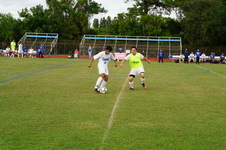 Enlarge photo 519