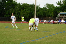 Enlarge photo 533