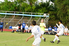 Enlarge photo 583