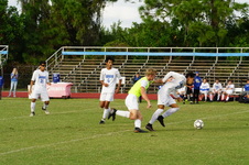 Enlarge photo 594