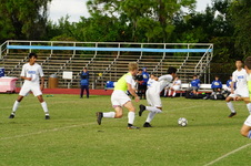 Enlarge photo 593
