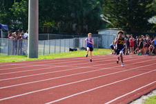 Enlarge photo 84