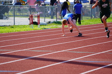 Enlarge photo 98