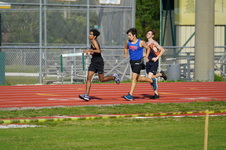 Enlarge photo 174
